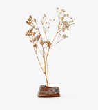 Media 4